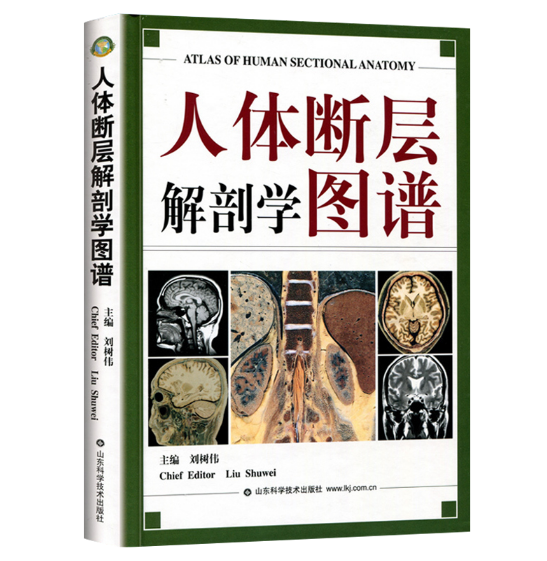 《人体断层解剖学图谱》刘树伟主编.PDF电子书下载