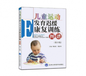儿童运动发育迟缓康复训练图谱(第3版)刘振寰主编.PDF电子书下载-小燕分享网