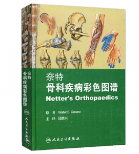《奈特骨科疾病彩色图谱》邱贵兴 主译.PDF电子书下载-小燕分享网