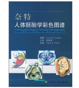 《奈特人体胚胎学彩色图谱》高英茂 主译.PDF电子书下载-小燕分享网