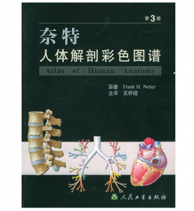 《奈特人体解剖彩色图谱》第3版_王怀经 主译.PDF电子书下载-小燕分享网