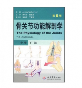 骨关节功能解剖学(中卷下肢)(第6版)顾冬云主译.PDF电子书下载-小燕分享网