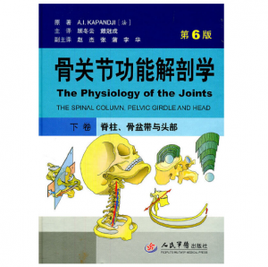骨关节功能解剖学(下卷脊柱、骨盆带与头部)（第6版）顾冬云主译.PDF电子书下载-小燕分享网