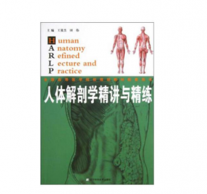 《人体解剖学精讲与精练》王效杰.PDF电子书下载 扫描版医学电子书下载-小燕分享网