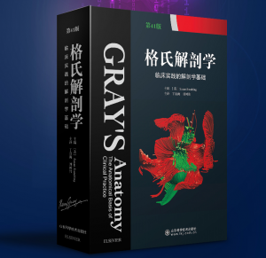 《格氏解剖学 临床实践的解剖学基础》第41版彩色中文版 .PDF电子书下载-小燕分享网