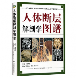 《人体断层解剖学图谱》刘树伟主编.PDF电子书下载-小燕分享网
