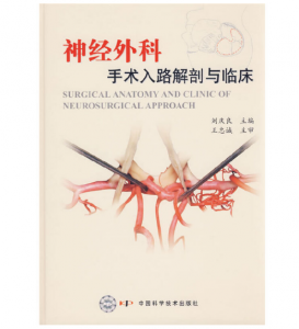 《神经外科手术入路解剖与临床》刘庆良主编.PDF电子书下载-小燕分享网
