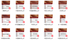 中医十三五规划教材电子版pdf电子书下载-小燕分享网